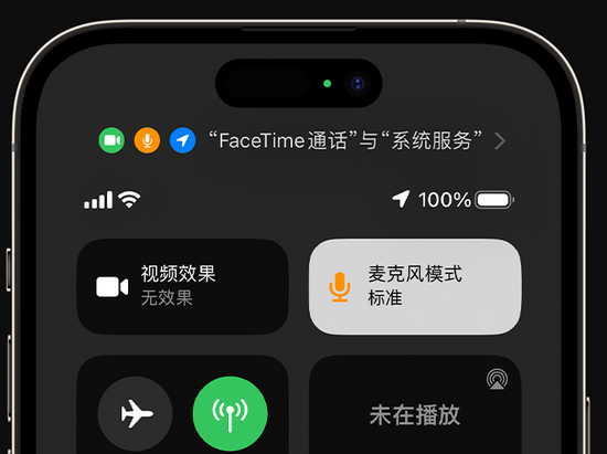 岷县苹果授权维修网点分享iPhone在通话时让你的声音更清晰 