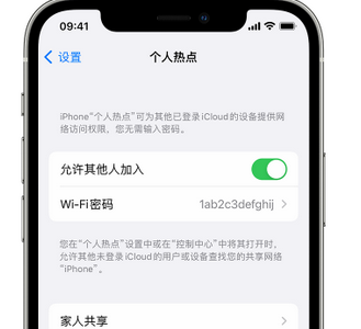 岷县apple服务站点分享iPhone上个人热点丢失了怎么办 