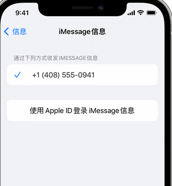 岷县apple维修iPhone上无法正常发送iMessage信息 