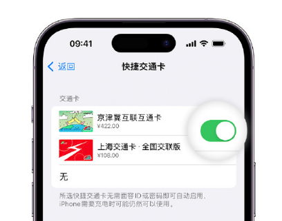 岷县apple维修点分享iPhone上更换Apple Pay快捷交通卡手绘卡面 