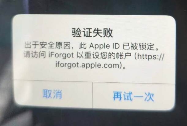 岷县iPhone维修分享iPhone上正常登录或使用AppleID怎么办 