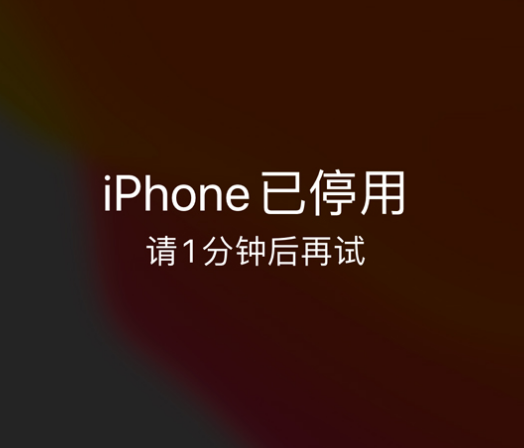 岷县苹果手机维修分享:iPhone 显示“不可用”或“已停用”怎么办？还能保留数据吗？ 