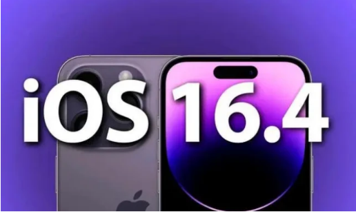 岷县苹果14维修分享：iPhone14可以升级iOS16.4beta2吗？ 