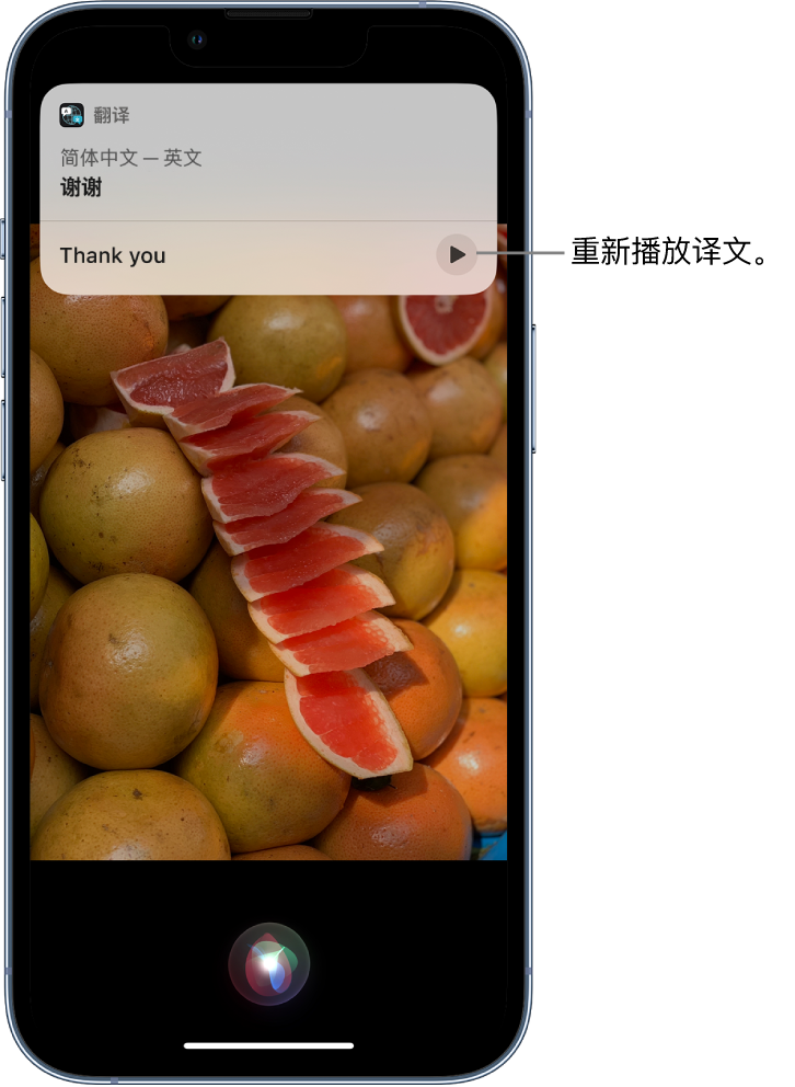 岷县苹果14维修分享 iPhone 14 机型中使用 Siri：了解 Siri 能帮你做什么 