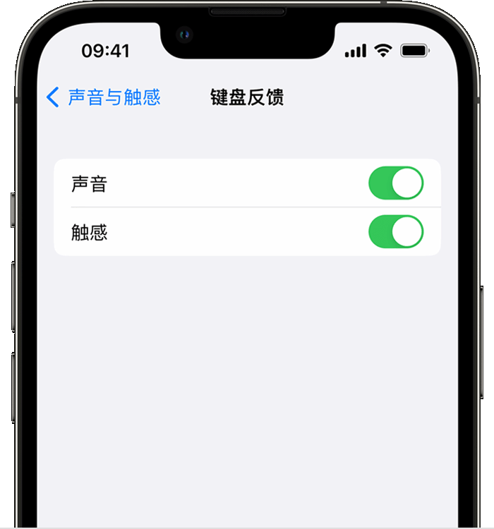 岷县苹果14维修分享iPhone 14 系列机型如何开启键盘声音或触感反馈 
