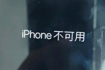 岷县苹果服务网点分享锁屏界面显示“iPhone 不可用”如何解决 