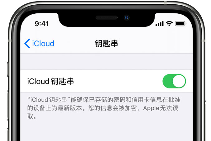 岷县苹果手机维修分享在 iPhone 上开启 iCloud 钥匙串之后会储存哪些信息 