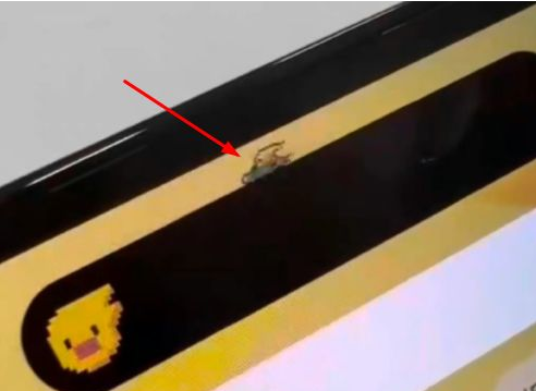 岷县苹果14维修分享iPhone 14 Pro Max灵动岛怎么养宠物 