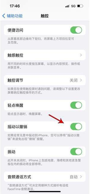岷县苹果手机维修分享iPhone手机如何设置摇一摇删除文字 