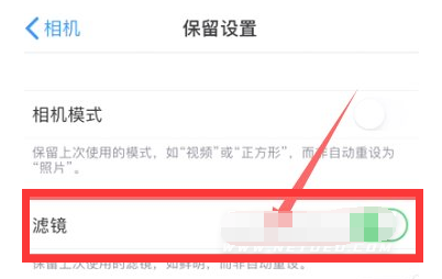岷县苹果13维修分享iPhone13拍照有绿点是怎么回事 