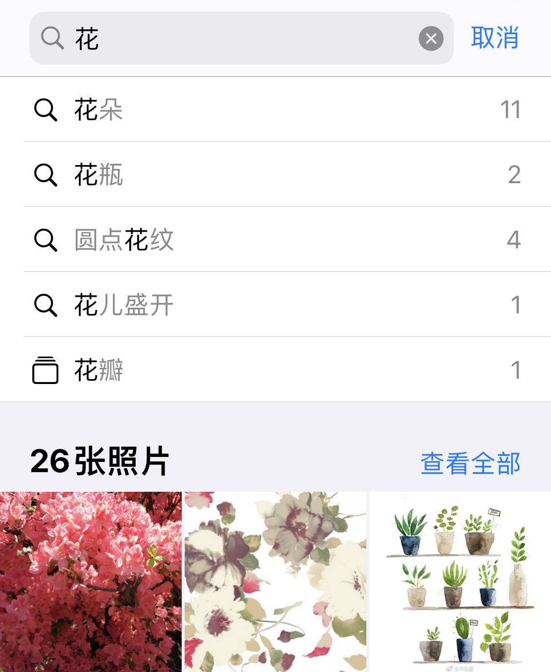 岷县苹果手机维修分享iPhone 小技巧 