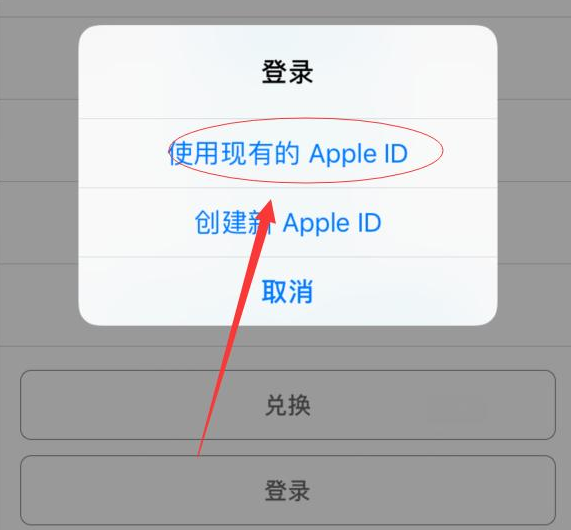岷县苹果手机维修分享两台iPhone设备可以同时登录一个Apple ID吗 