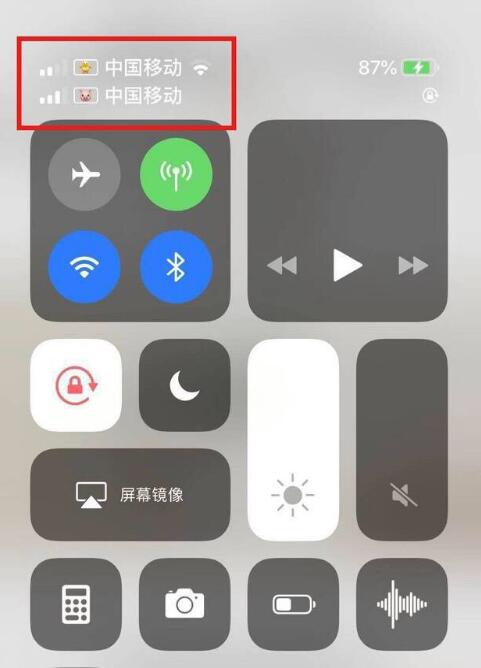 岷县苹果手机维修分享为 iPhone 12 双卡设置标签 